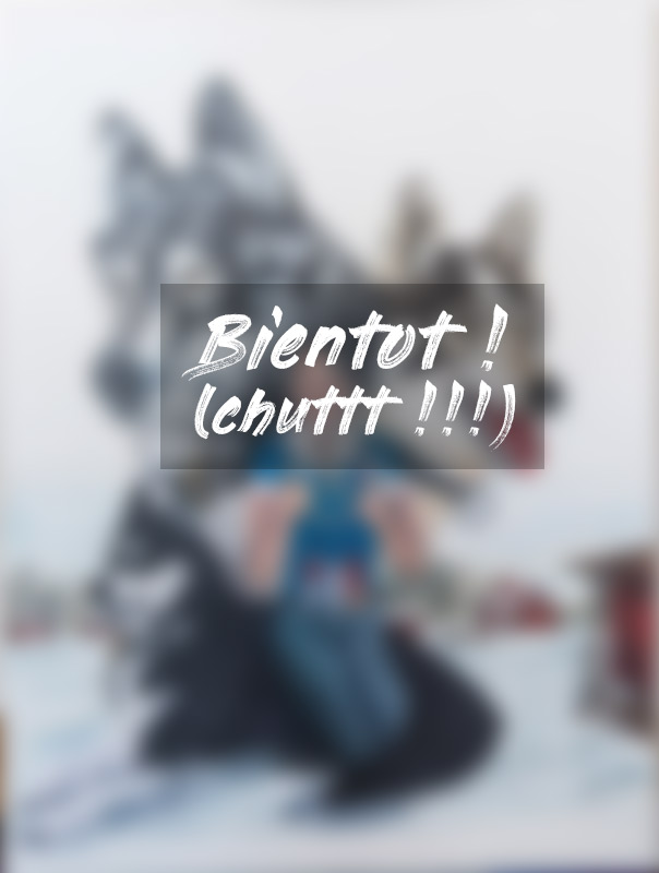 tableau-chiens-termine0